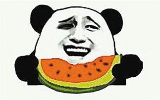 吃瓜群众新手教学视频,吃瓜群众新手教学视频全解析