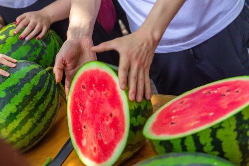 自由吃瓜基地组织,揭秘网络时代的“吃瓜群众”文化现象