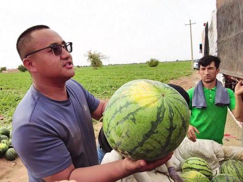 吃瓜青石3,探寻美食背后的故事与传奇