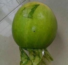 惠州今日吃瓜事件,揭秘背后真相与网络舆论风暴