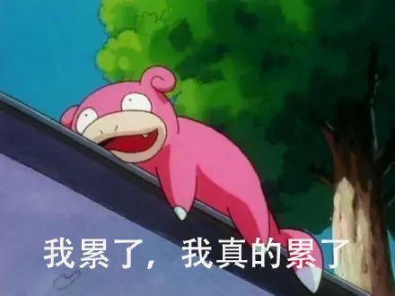 小小的愿望吃瓜,一场吃瓜盛宴背后的故事