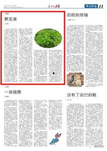 吃瓜日报简介图片,揭秘娱乐圈幕后真相，带你领略八卦风云