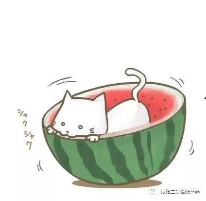真人情头吃瓜,揭秘情侣间的甜蜜与酸辣