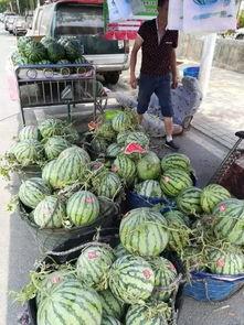 康县女子吃瓜事件,一场网络热议背后的真相与反思