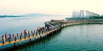 龙子湖吃瓜号,揭秘校园热点，畅享青春趣味