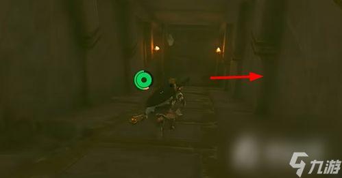 塞尔达格鲁德吃瓜,荒野之息中的神秘瓜果之谜：格鲁德的奇幻冒险