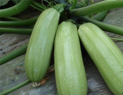 西罗吃瓜,揭秘娱乐圈背后的那些事儿