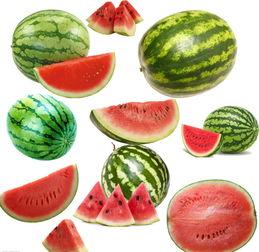 梅娜小南吃瓜,揭秘娱乐圈幕后真相