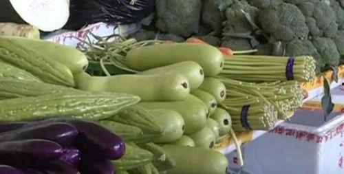 犁头瓜苦可以吃吗