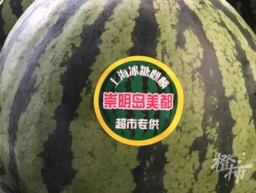 神秘吃瓜3,揭秘幕后真相，探寻娱乐圈风云变幻