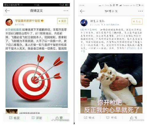 吃瓜上位成股东,见证奇迹的逆袭之路